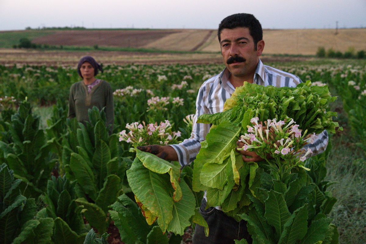 Turkey’s Alevi Community photograph 16