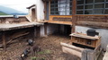 Tibetan house photograph