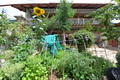 Tibetan house photograph